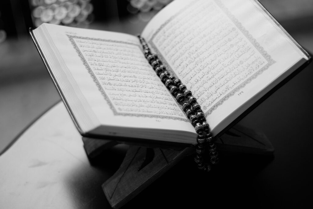 تفسير سورة البقرة مختصر ابن كثير | دليل شامل 3 فضل سورة البقرة